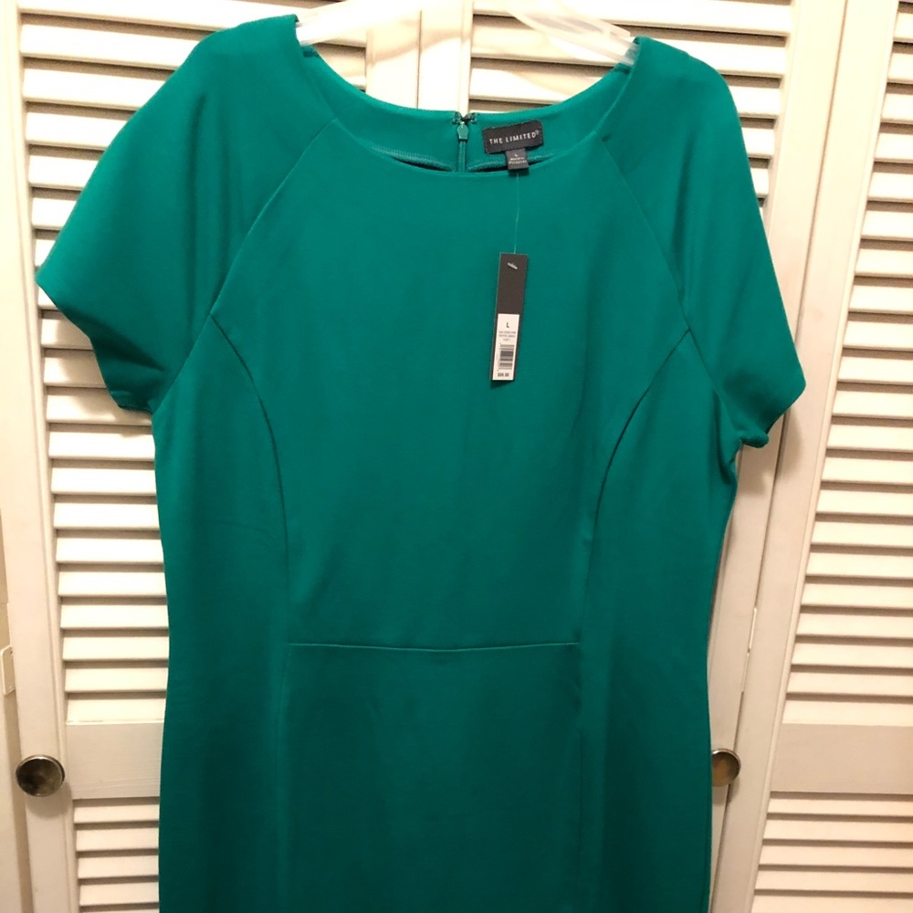 The Limited green shift dress NWT L